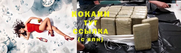 прущие грибы Заволжье