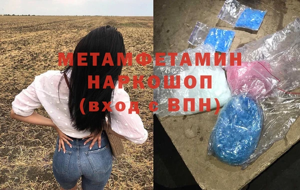 прущие грибы Заволжье