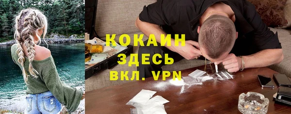 прущие грибы Заволжье