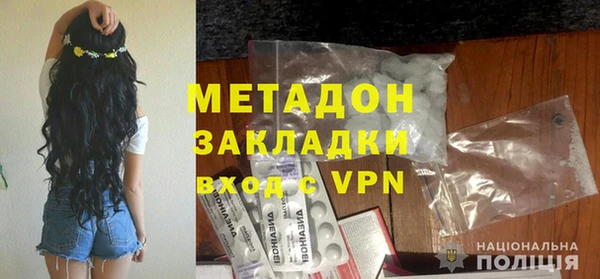 прущие грибы Заволжье