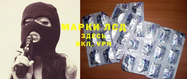 прущие грибы Заволжье