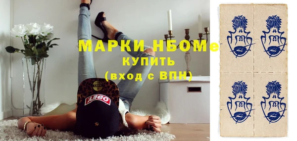 прущие грибы Заволжье