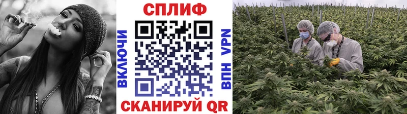 Канабис конопля Ленинск